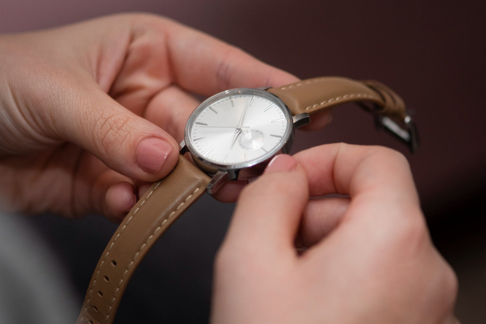The lug hole and the pin - Smartlet